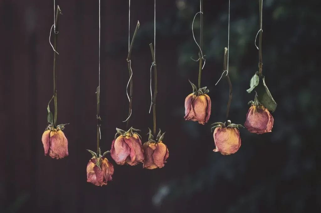 móvil de rosas secas