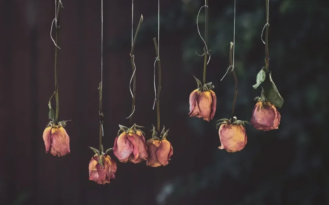 móvil de rosas secas