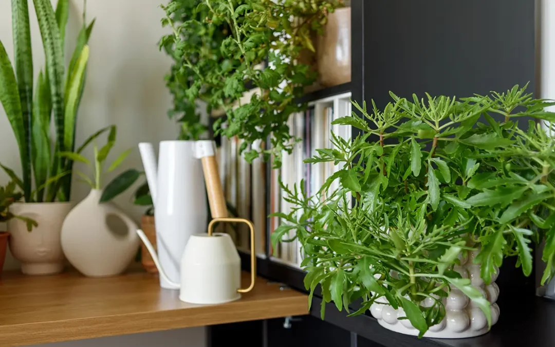 Detalle de apartamento decorado con plantas