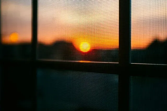 Imagen de puesta de sol con mosquitera fija