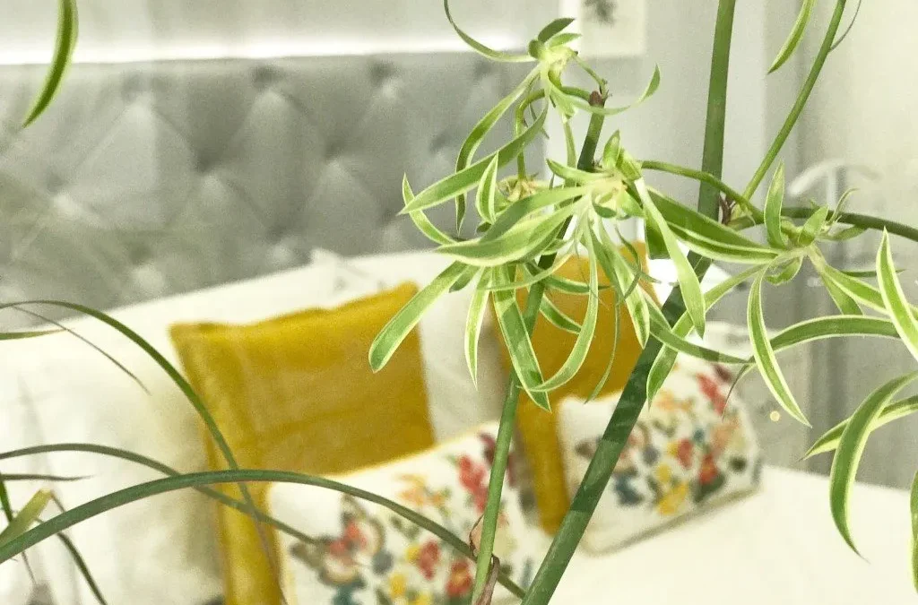 Decoración de un dormitorio divertido