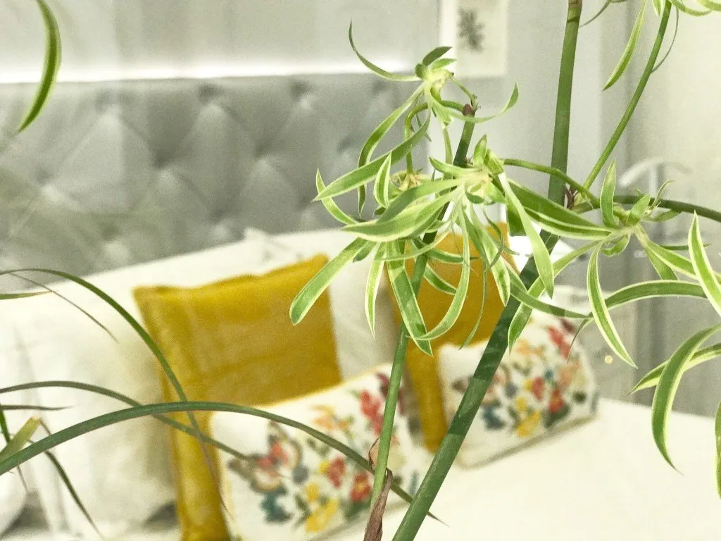 Decoración de un dormitorio divertido