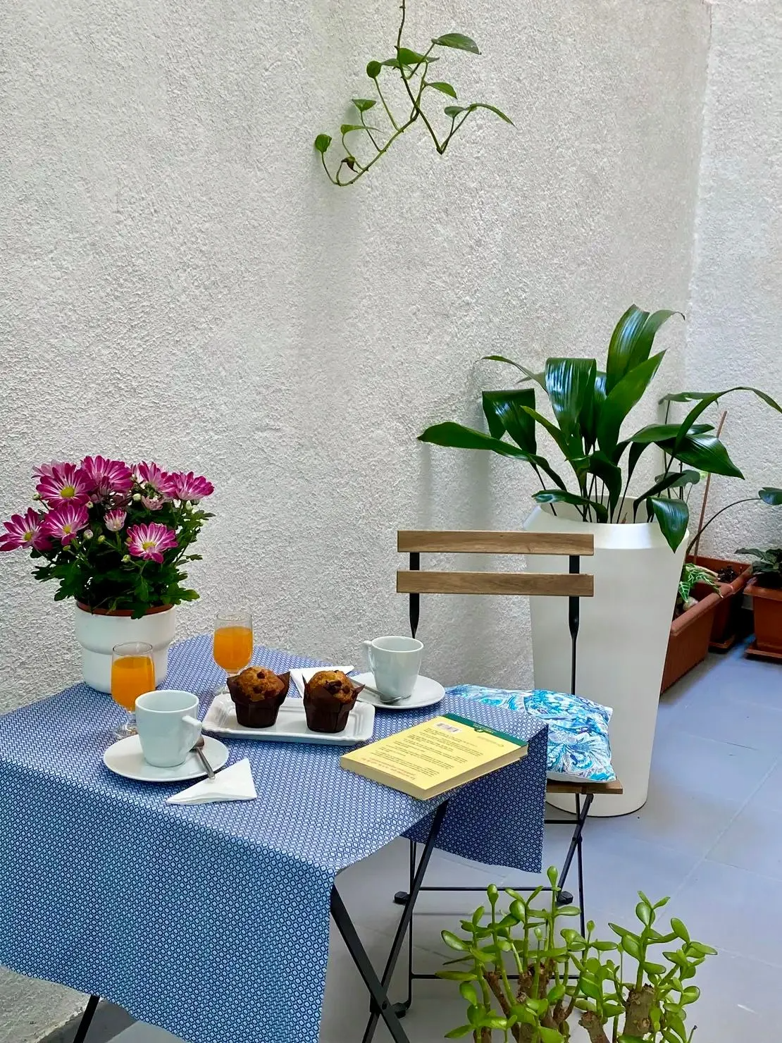 Patio Terraza Y Biofilia   Decoracion Mini Piso Inspiracion Al Cuadrado