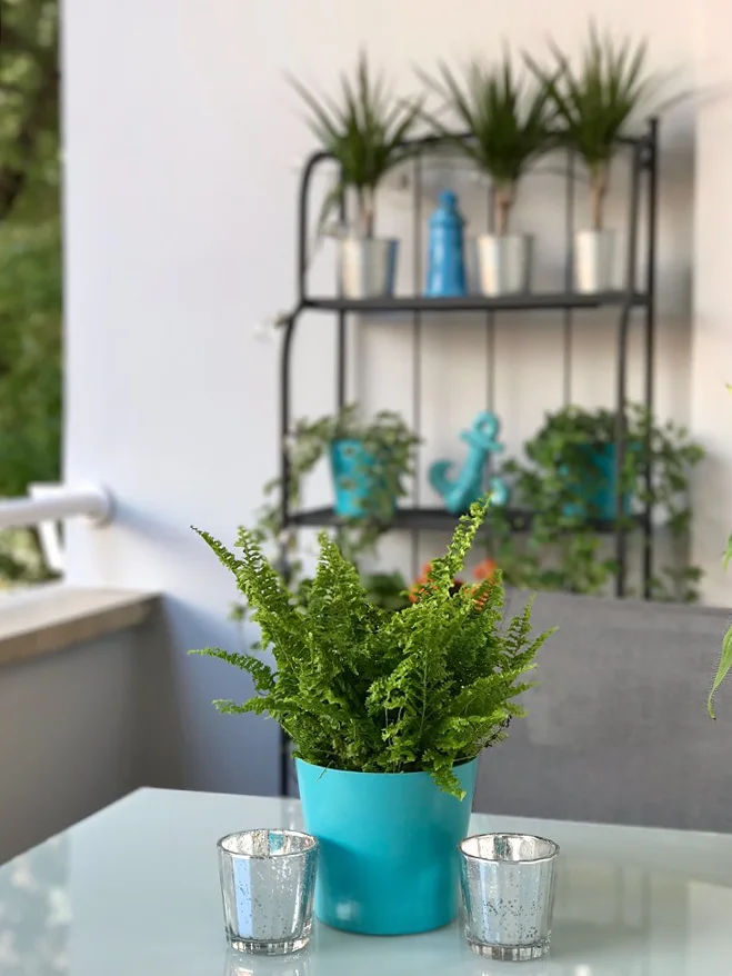 Reforma Integral Boho Chic. Terraza