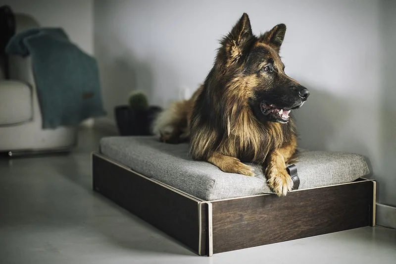Decoración con cama para el perro Decoracion cama perro
