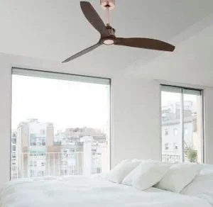 Ventilador de techo